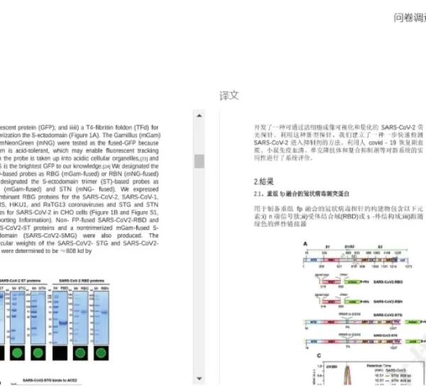 Best Practices to Translate Scanned Documents from Chinese to English in 10 Minutes