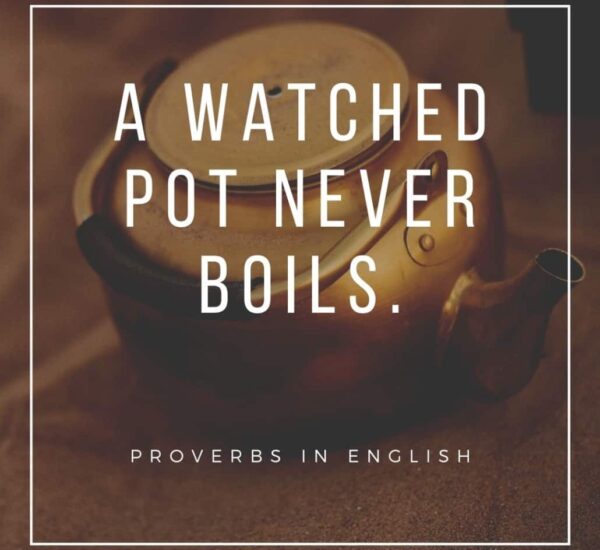 60 Popular English Proverbs with Chinese Translations