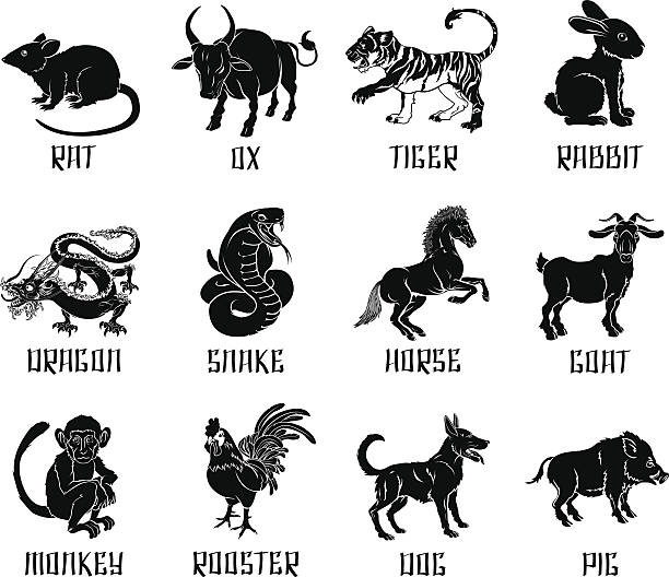Silly Chinese Zodiac Animals | Chinese zodiac, Chinese zodiac tattoo, Chinese  zodiac signs