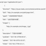 Baidu SEO Date Format